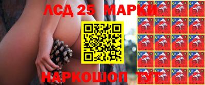гашиш Новодвинск