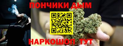 наркотики Новозыбков