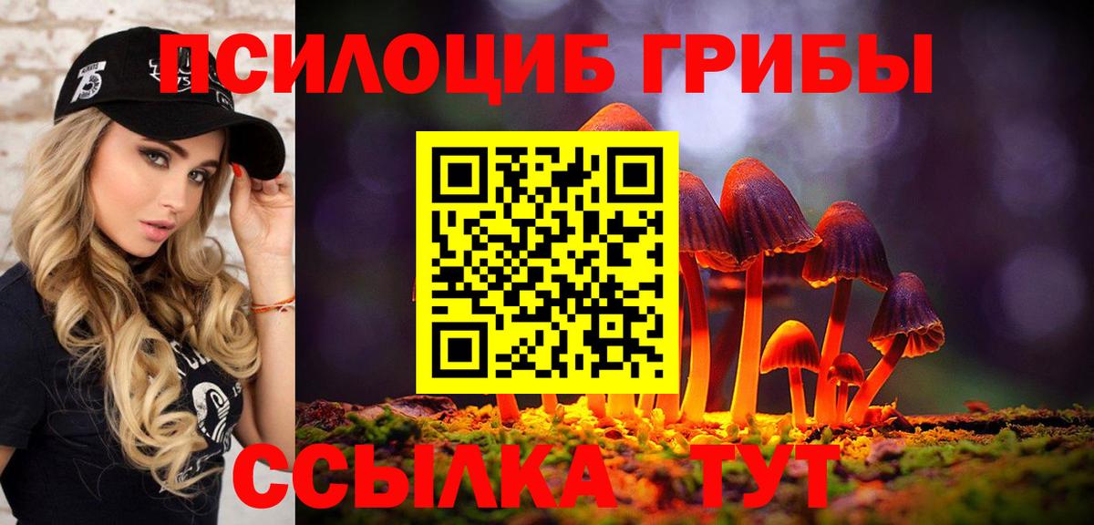 Псилоцибиновые грибы мицелий  Вход с VPN  Сосновоборск 