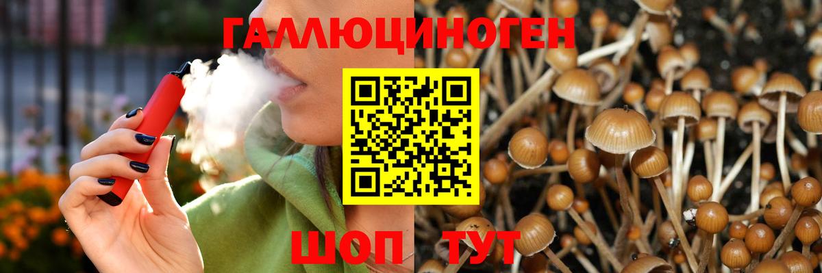Галлюциногенные грибы Psilocybe Сосновоборск